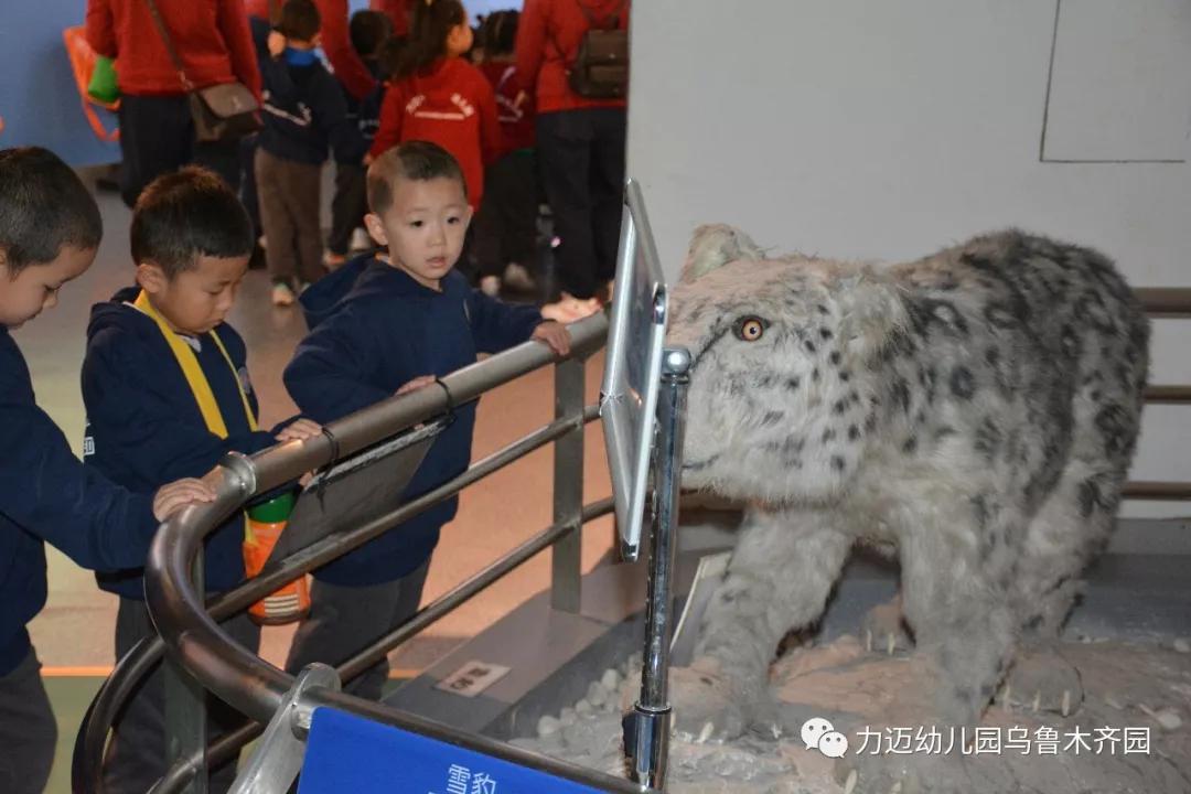 力邁幼兒園‖“走進科技館 開啟科學夢”參觀科技館活動(圖11)