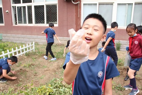 我愛這土地，因為我嗅到了泥土和草葉的芬芳|力邁中美國際學校勞動教育實踐活動(圖10)