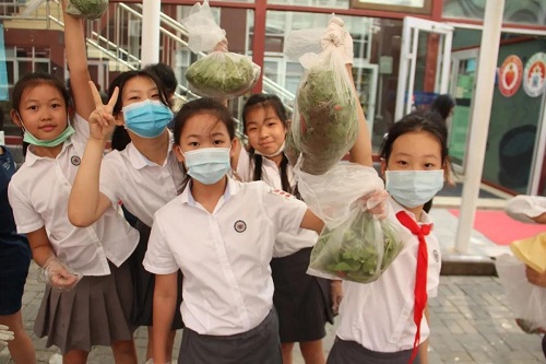 我愛這土地，因為我嗅到了泥土和草葉的芬芳|力邁中美國際學校勞動教育實踐活動(圖18)