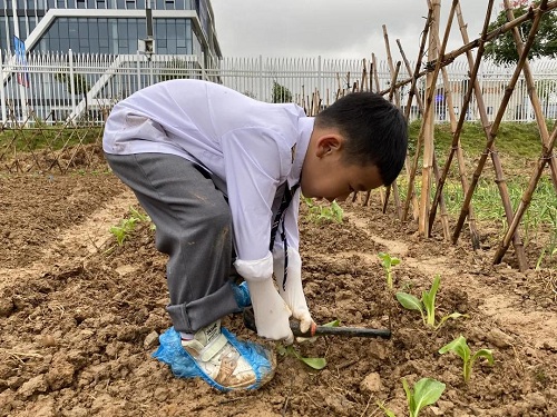 先行者｜南昌這所國(guó)際學(xué)校為學(xué)生打造了生態(tài)種植園(圖6)