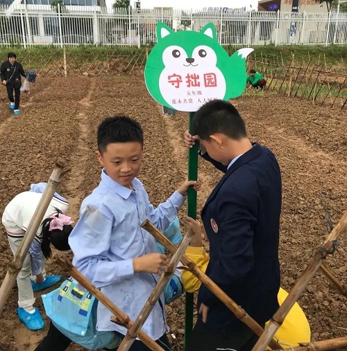 先行者｜南昌這所國(guó)際學(xué)校為學(xué)生打造了生態(tài)種植園(圖7)