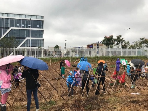 先行者｜南昌這所國(guó)際學(xué)校為學(xué)生打造了生態(tài)種植園(圖3)