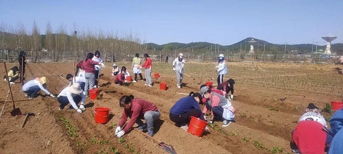 歡樂農(nóng)場，青春作伴|力邁中美國際學(xué)校班主任黨史培訓(xùn)團建活動(圖18)